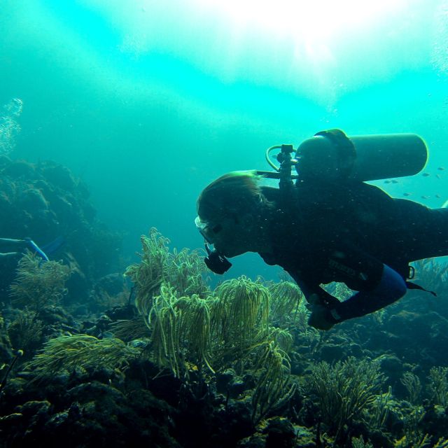 Rund um die Insel Canouan lockt das Korallenriff Besucher unter die Wasseroberfläche
