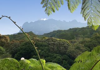 Blick auf den höchsten Berg Südostasiens – Mt. Kinabalu (4095 m)