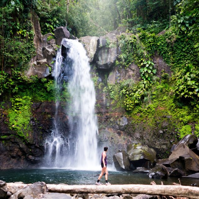 Carbet Falls, Guadeloupe