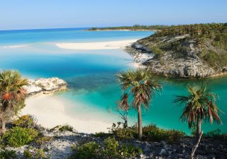 Ein kleiner paradiesischer Strand auf Shroud Cay auf den Bahamas. Shroud Cay gehört zur Inselkette Exuma und zum Warderick Wells Land and Sea Park. Perfekter, abgelegener Strand.