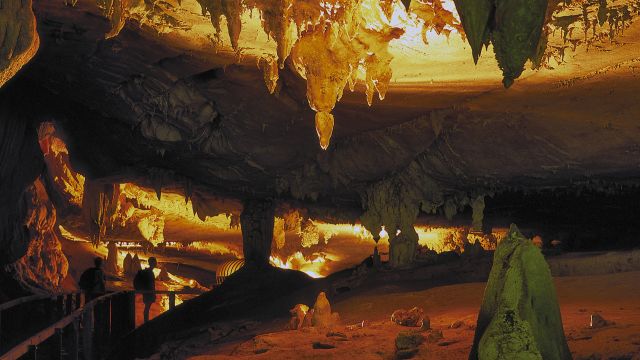 in einer Höhle des Gunung-Mulu-Nationalparks