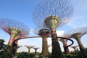 Supertrees in den Gardens by the Bay