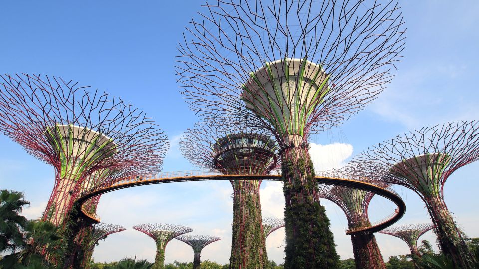 Supertrees in den Gardens by the Bay