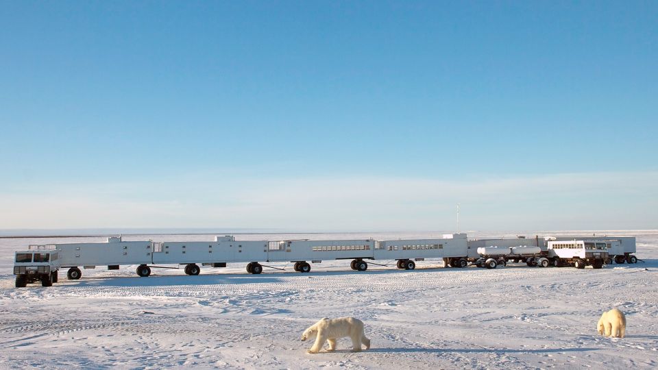 Eisbären vor der Tundra Buggy Lodge