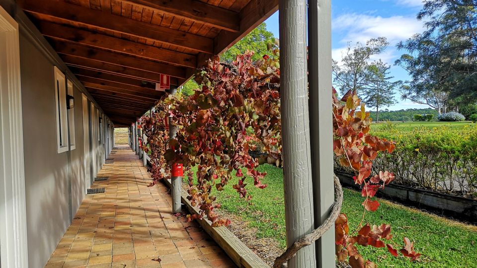 Hunter Valley Resort – Weinreben entlag der Zimmeranlage