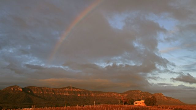 Regenbogen über den Weinbergen von Hunter Valley