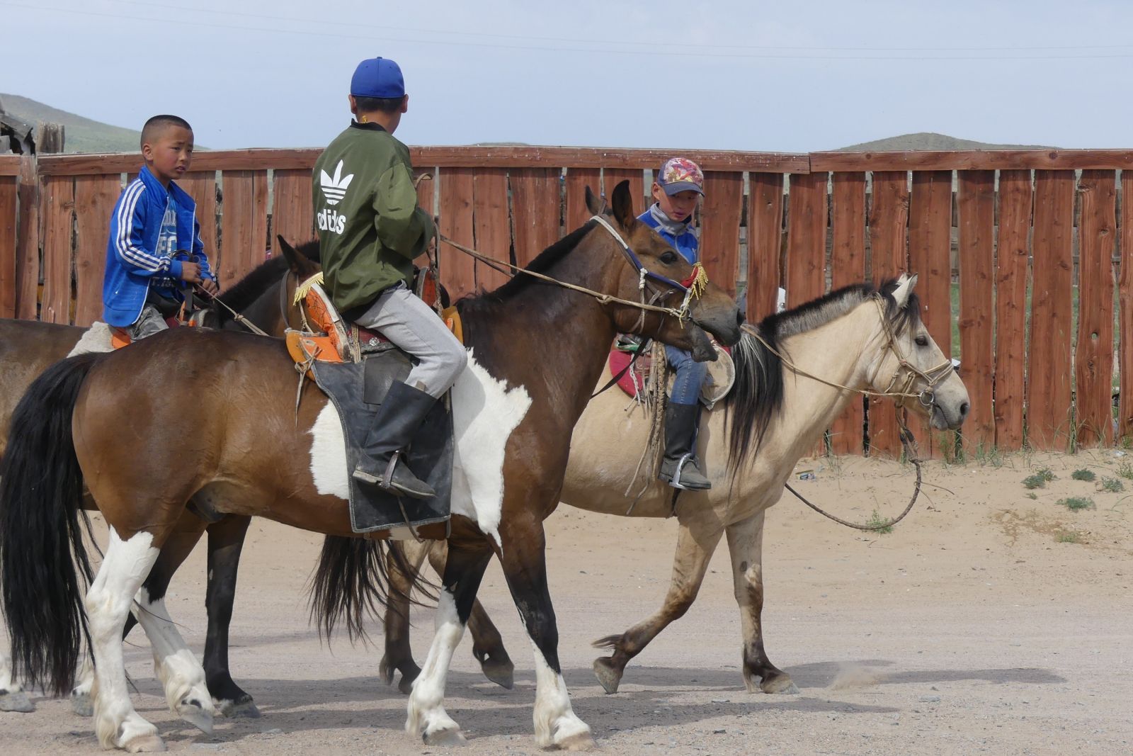 Jungen auf den Pferden – meist sind diese die Jockeys bei den Pferderennen