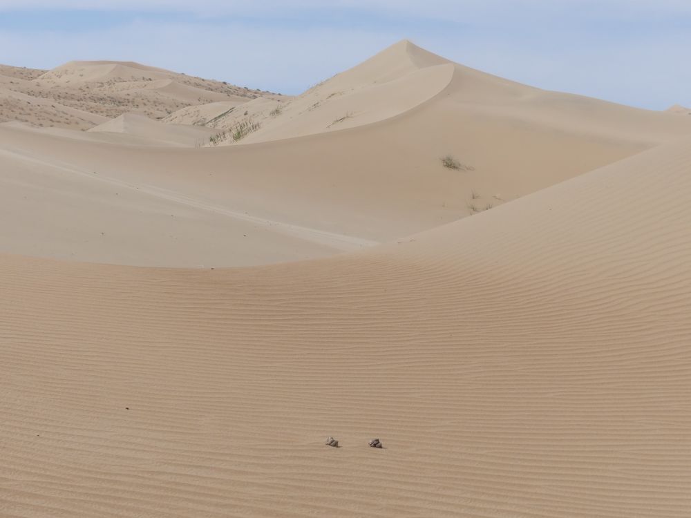 Unterwegs in den riesigen Sanddünen