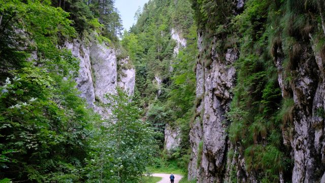 Hohe Felswände in der Zarnesti-Schlucht, Karpaten