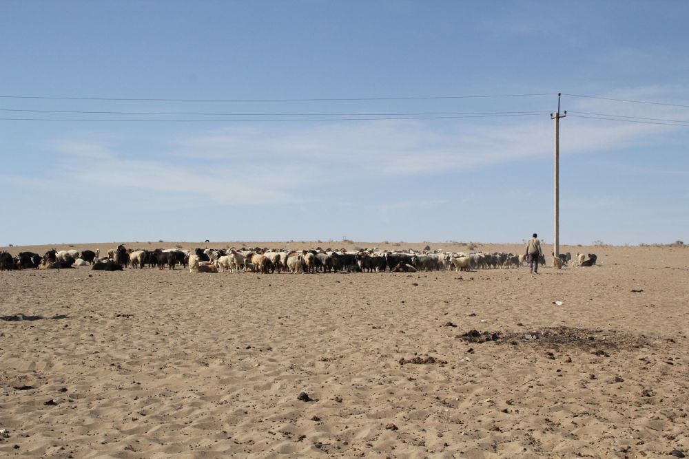 Bei der Siedlung Koymat in der Karakum-Wüste