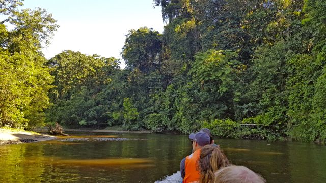 Bootsfahrt durch Borneos Wildniss