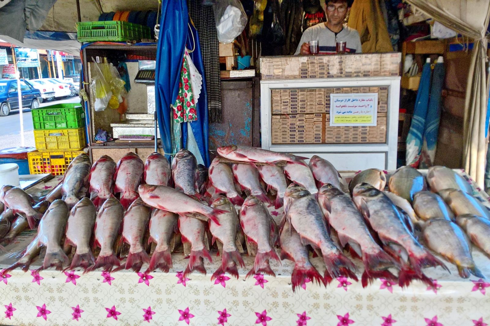 Fischmarkt in Bandar Anzali
