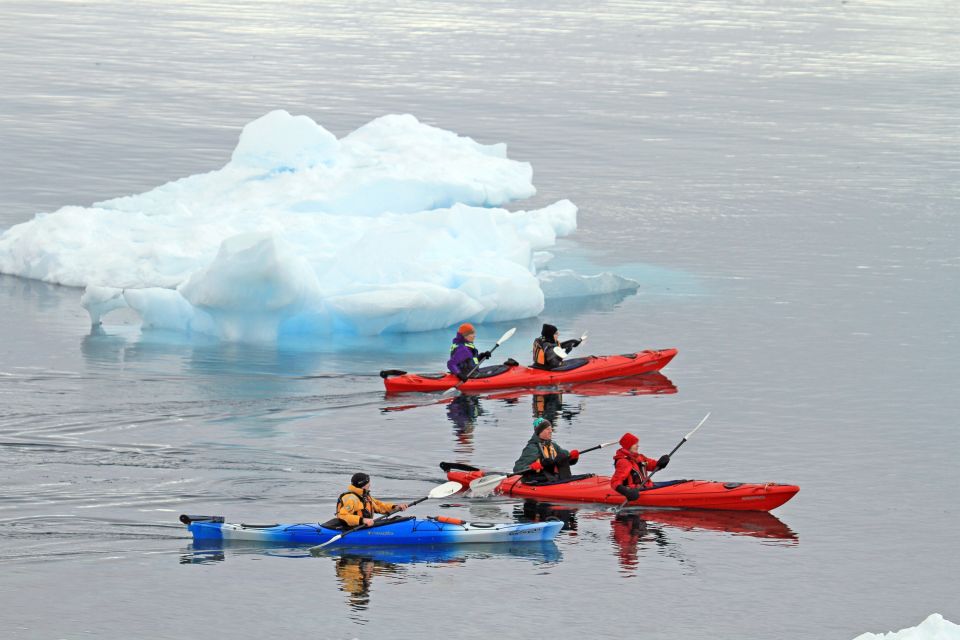 Im Kajak kann man fast lautlos zwischen den Eisbergen gleiten