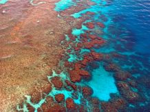 Blick auf die Korallenformationen des Great Barrier Reefs
