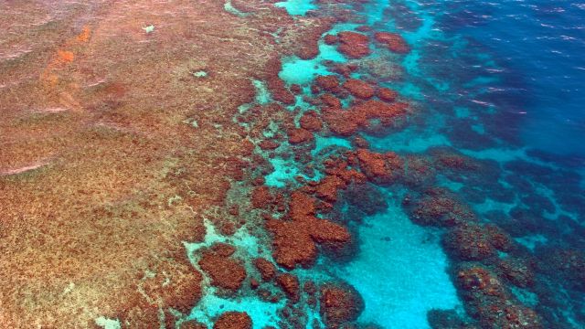 Blick auf die Korallenformationen des Great Barrier Reefs