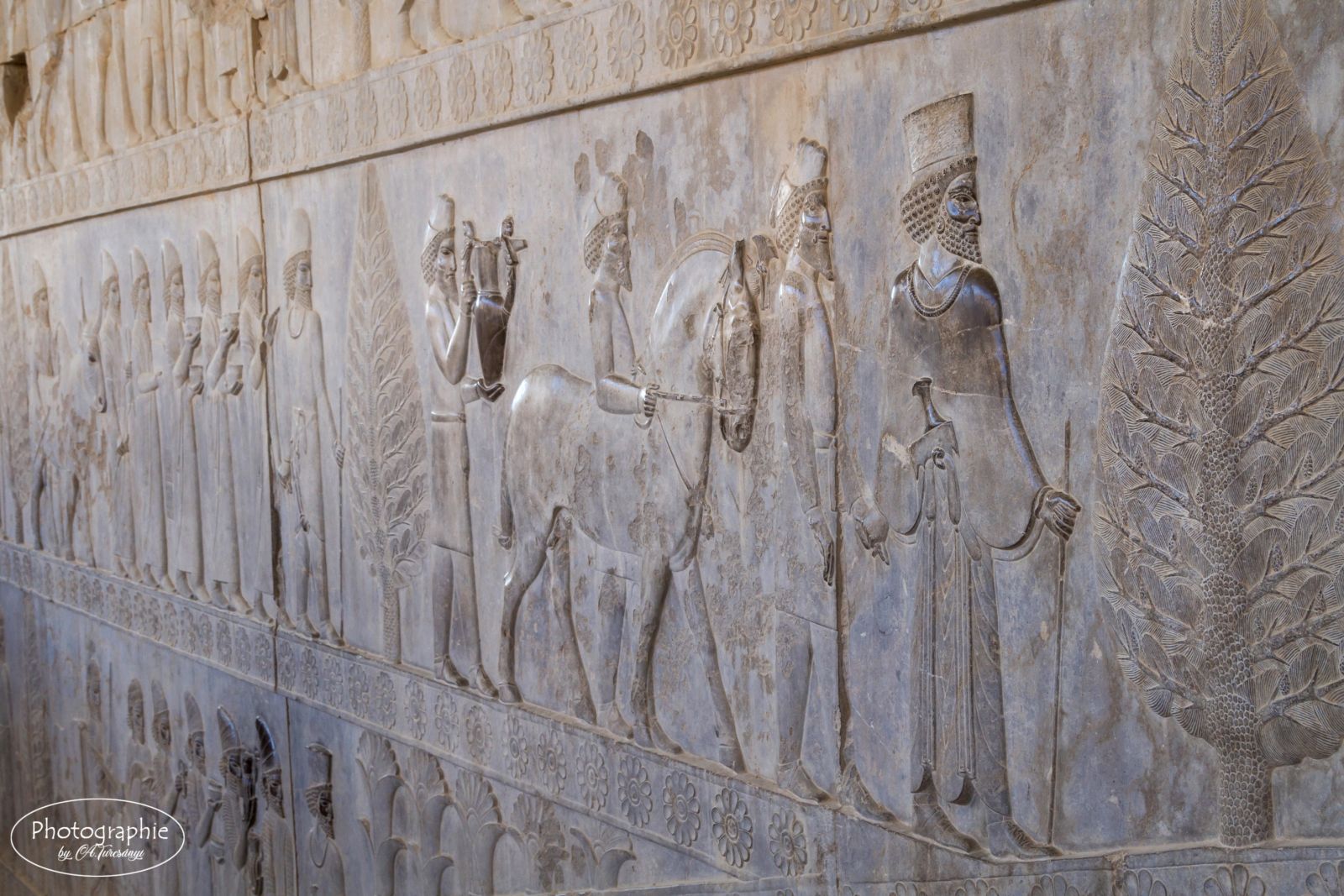 Das Relief des Apadana in Persepolis