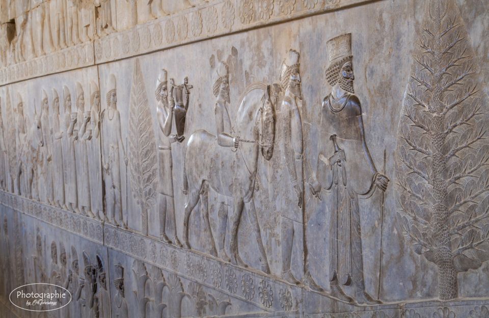 Das Relief des Apadana in Persepolis