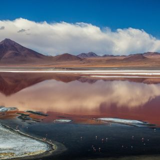 Laguna Colorada in der Atacama-Wüste