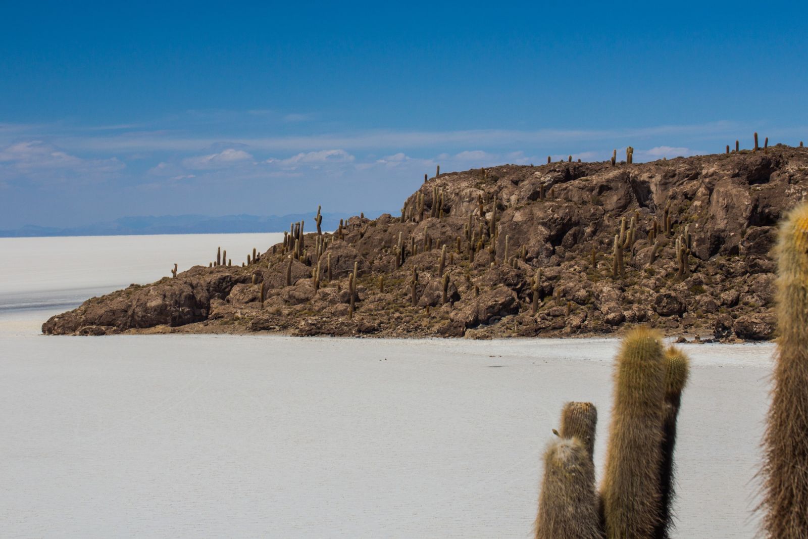 Insel Incahuasi in der Atacama-Wüste