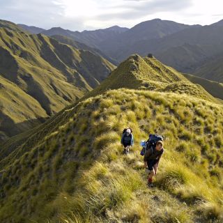 Neuseelands schönste Trekkingtouren erleben