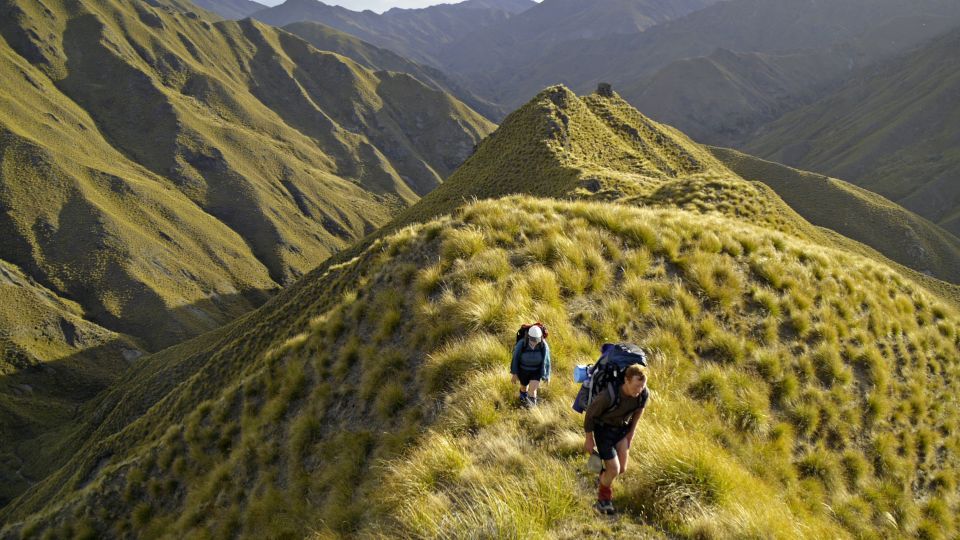 Neuseelands schönste Trekkingtouren erleben