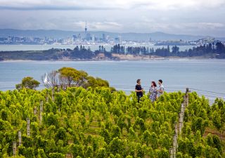 Zwischen Weinreben und mit tollem Ausblick auf Auckland