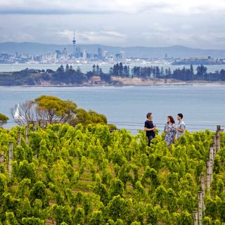 Zwischen Weinreben und mit tollem Ausblick auf Auckland