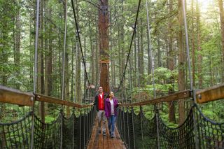 Eine Wanderung durch die Wipfel des Redwoods Forests, Rotorua