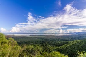 Blick auf den Nationalpark Lake Manyara