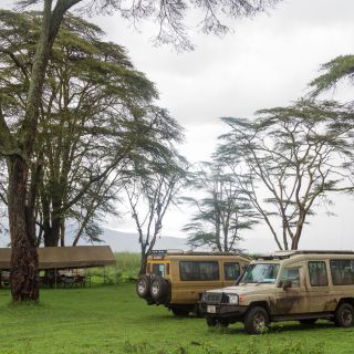 Privates Picknick mitten im Ngorongoro-Krater, Tansania