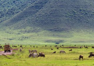 Safari im Ngorongoro-Krater, Tansania