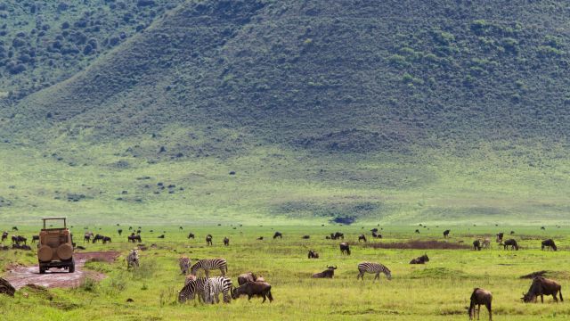 Safari im Ngorongoro-Krater