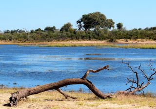 An den Ufern des Okavango liegt der kleine, aber feine Mahango-Nationalpark an der grenze zu Botswana.