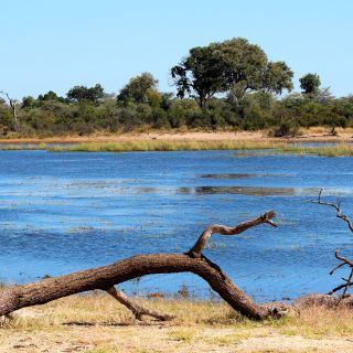 An den Ufern des Okavango liegt der kleine, aber feine Mahango-Nationalpark an der grenze zu Botswana.