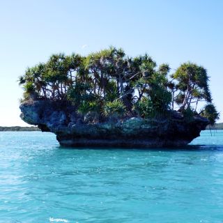 Île des Pins – typischer Felsen in der Bucht von Upi, hauptsächlich mit Pandanus bewachsen
