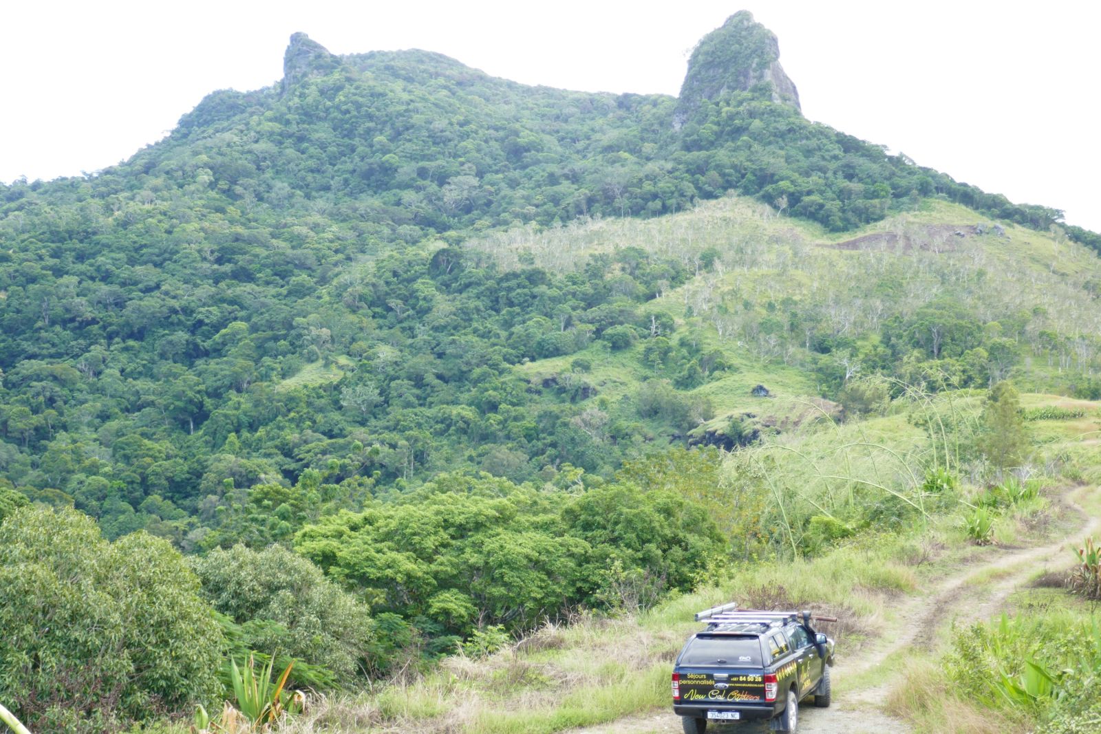 Grande Terre – auf Safari mit 4WD rund um Koné
