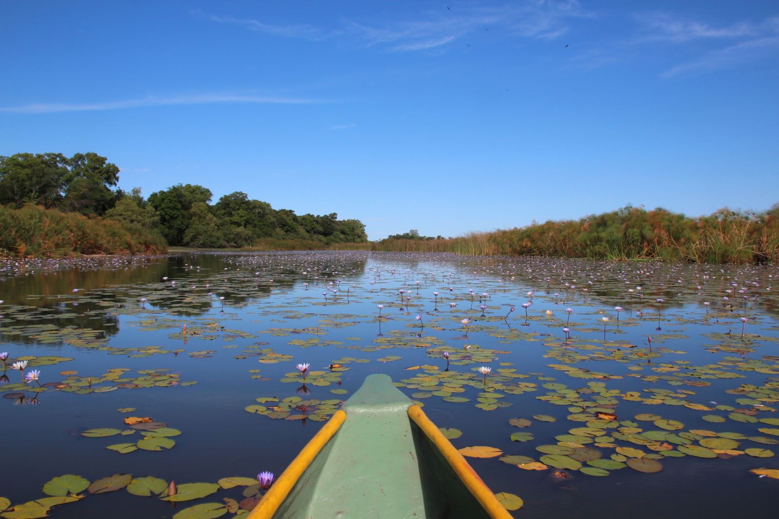 Im Mokoro durchs Okavango-Delta