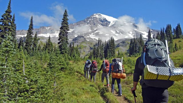 Wanderer im Mount Rainer-Nationalpark, Washington State