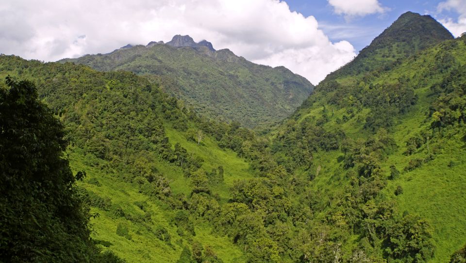 Die wunderbare Landschaft der Ruwenzoris verzaubert jeden Trekkingfan.