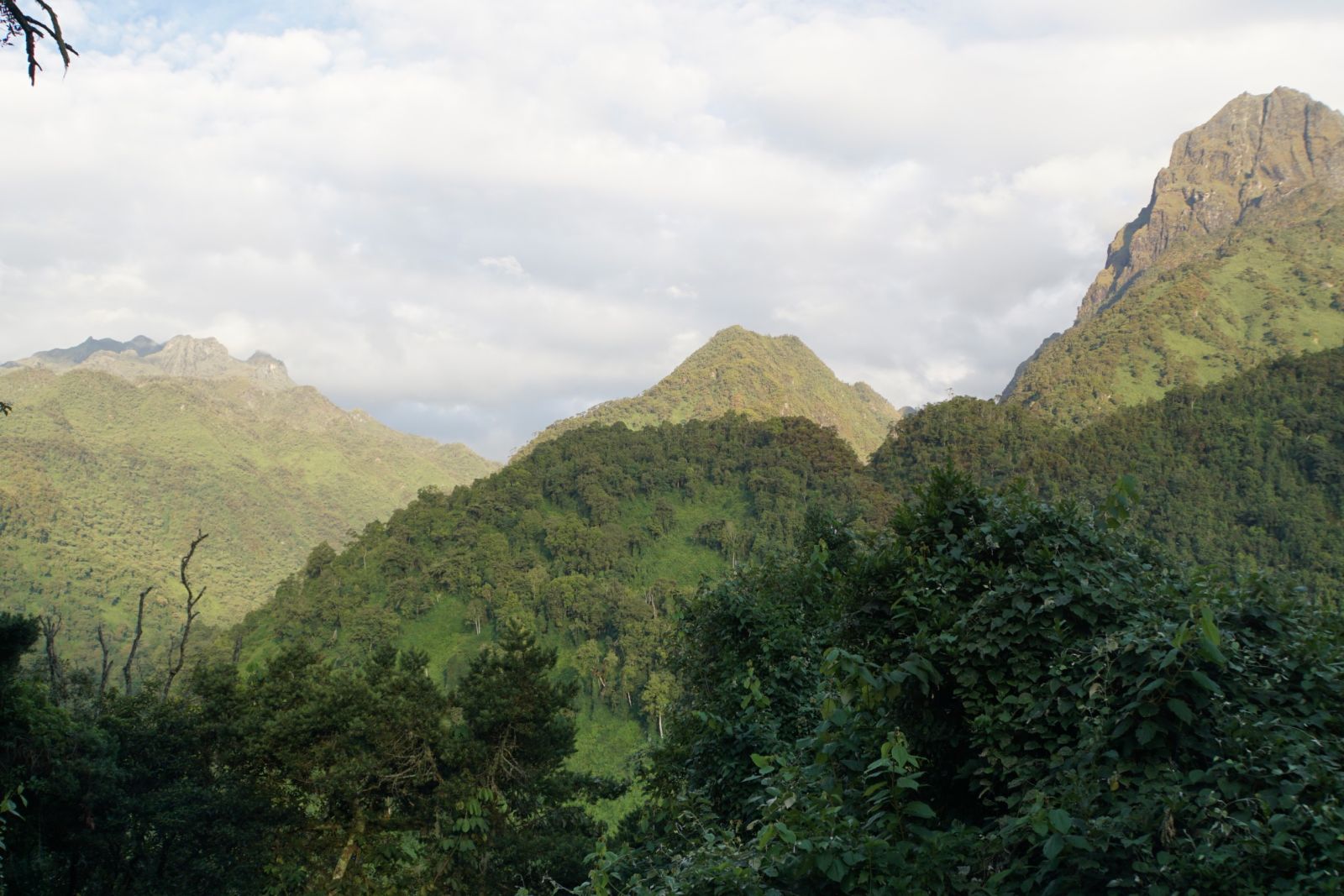 Die wunderbare Landschaft der Ruwenzoris verzaubert jeden Trekkingfan.