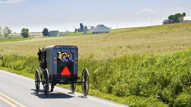 Amish-Buggy unterwegs, Lancaster County, Pennsylvania
