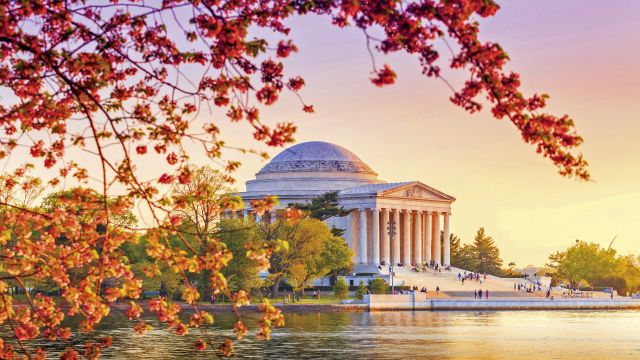 Jefferson Memorial wähend des Kirschblütenfestivals, Washington, DC