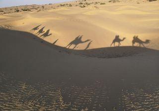 Rajasthan Reise –  Wüste Thar