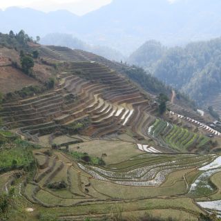 Mu Cang Chai – Terassenfeldbau in den Bergen