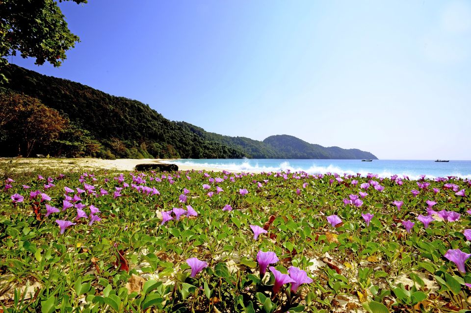 Blumen am Strand der Insel Maclcod I – Kha Yin Gwa