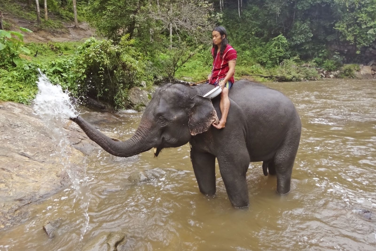 Elefantenritt bei Mae Sapok