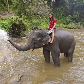 Elefantenritt bei Mae Sapok