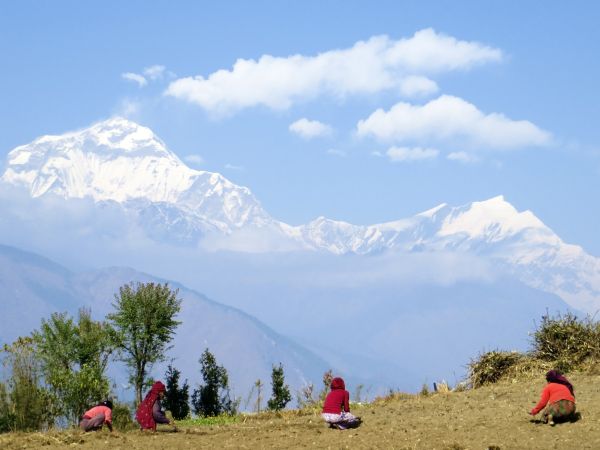 Dhaulagiri-Panorama in Shikha beim Aufstieg von Tatopani nach Ghorepani © Diamir