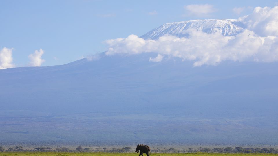 Im Amboseli-Nationalpark vor der Kulisse des Kilimanjaro
