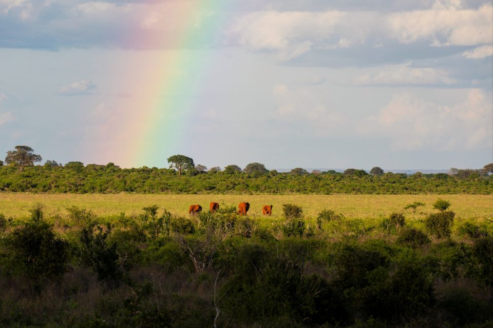 Regenbogen in der Savanne